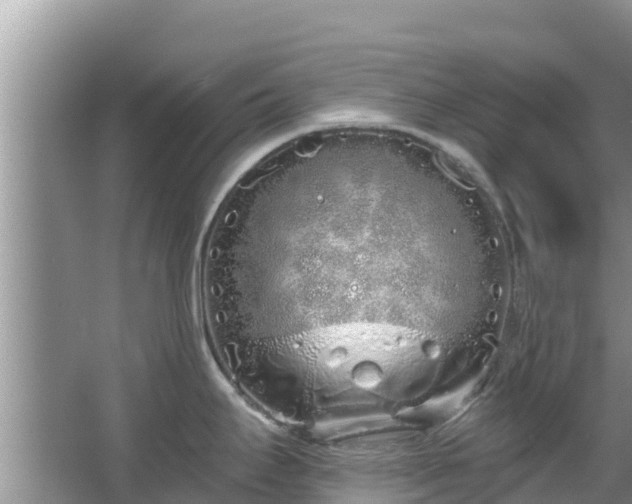 X0000067491295200604101245