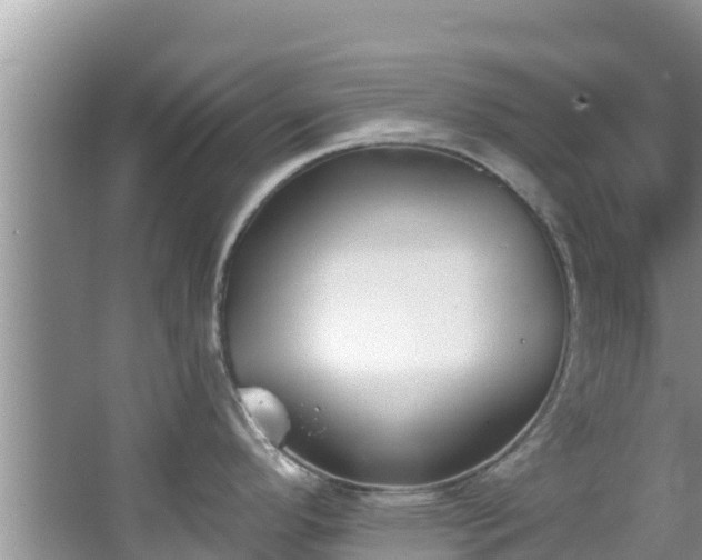 X0000067491296200604101245