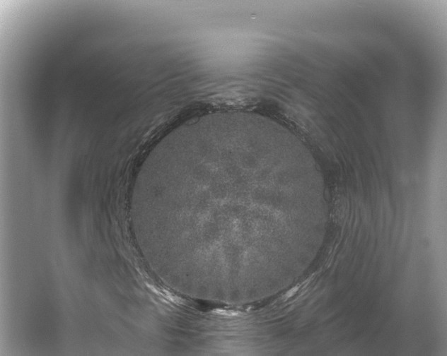 X0000067491297200604101244