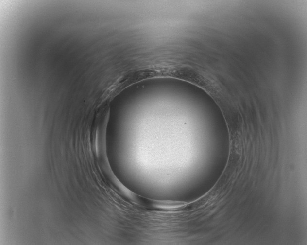 X0000067491298200604101245