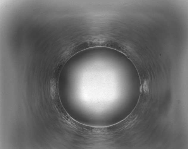 X0000067491299200604101245