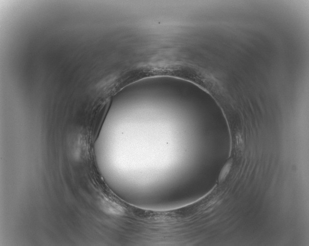 X0000067491300200604101245