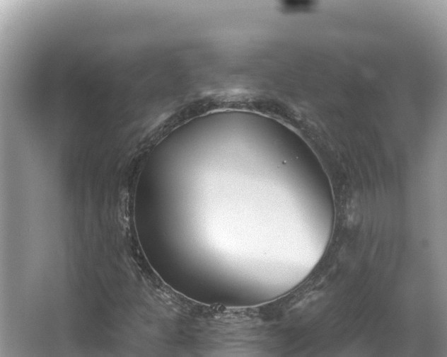 X0000067491301200604101245