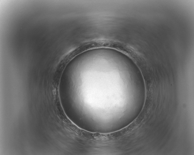 X0000067491302200604101245