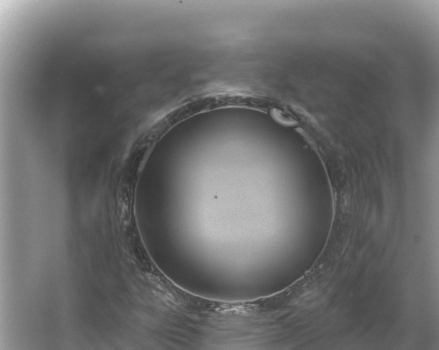 X0000067491303200604101245