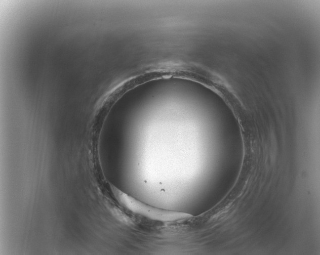 X0000067491304200604101245