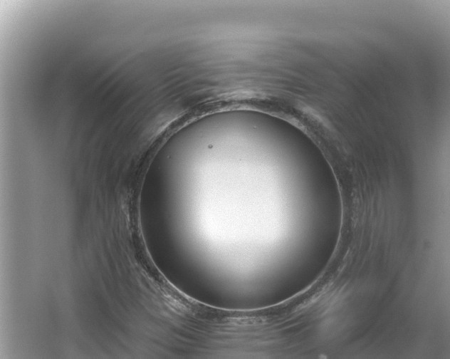 X0000067491305200604101245