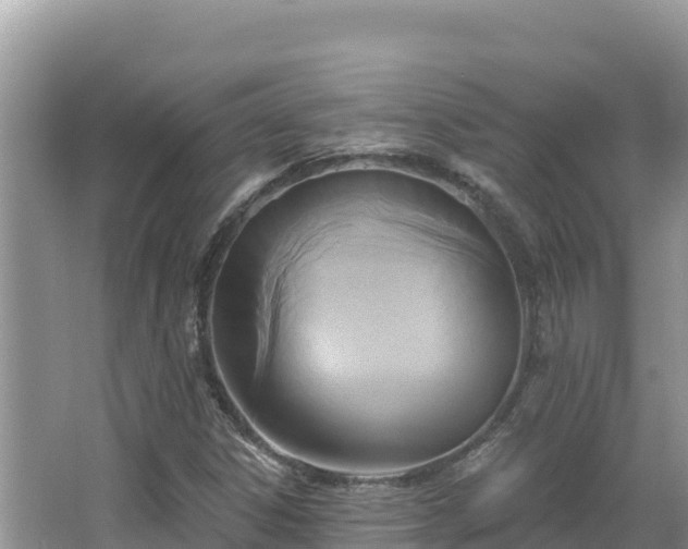 X0000067491306200604101245