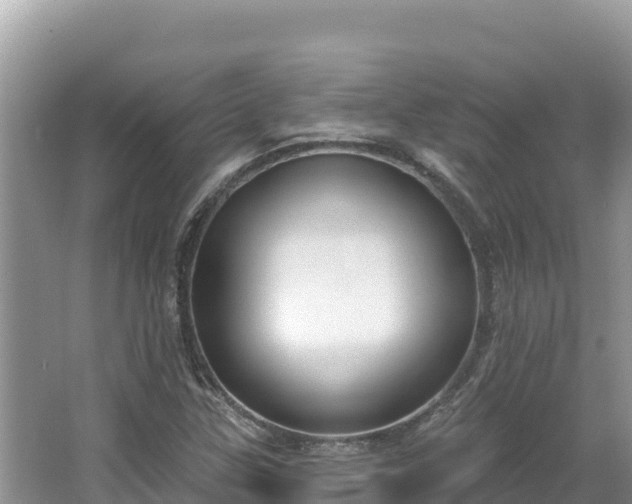 X0000067491307200604101245