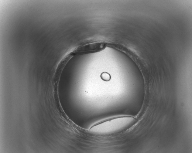 X0000067491309200604101245