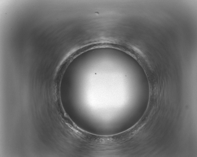 X0000067491310200604101245