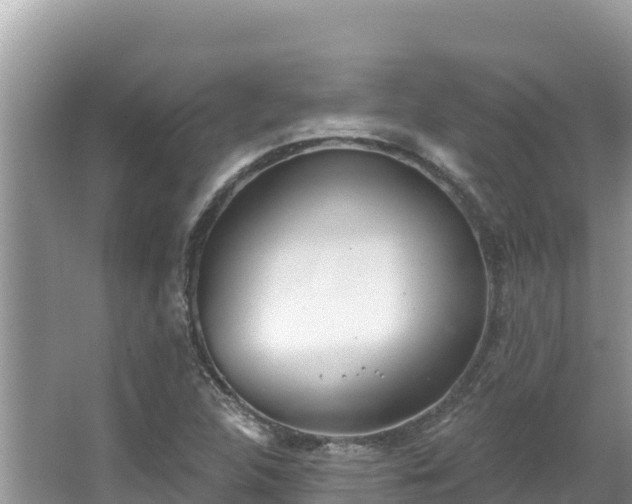 X0000067491312200604101245