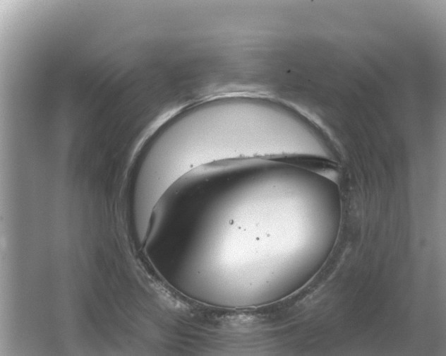 X0000067491317200604101245