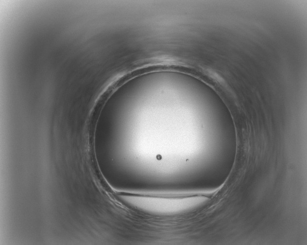 X0000067491318200604101245