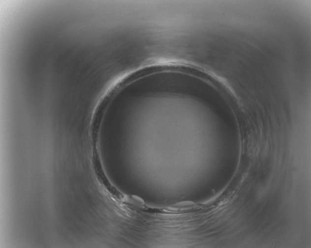 X0000067491319200604101245