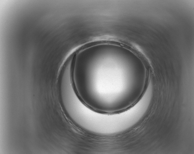 X0000067491320200604101245