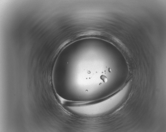 X0000067491321200604101245