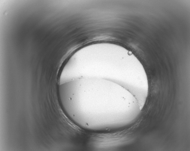 X0000067491322200604101245