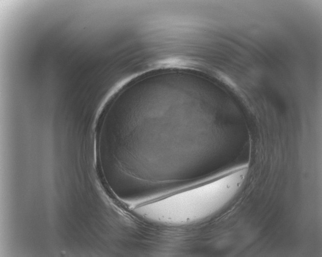 X0000067491323200604101245