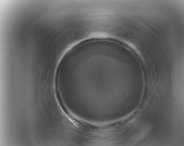 X0000067491327200604101245