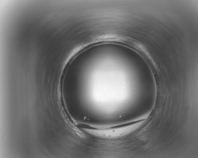 X0000067491328200604101245