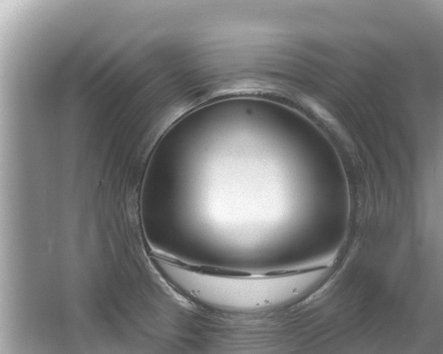 X0000067491329200604101245