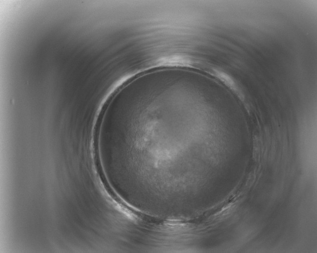 X0000067491331200604101245