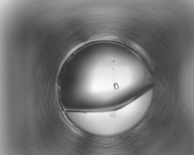 X0000067491332200604101245