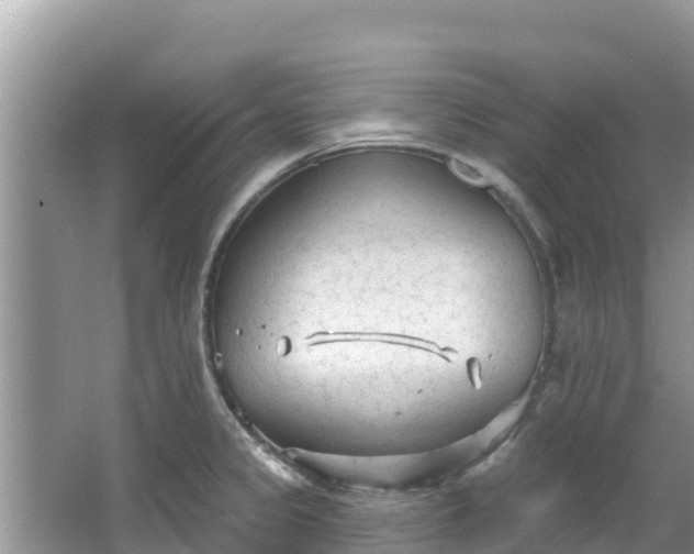 X0000067491333200604101245