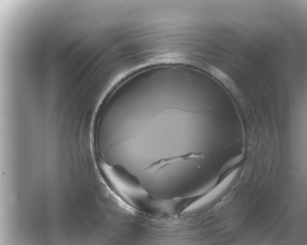 X0000067491334200604101245