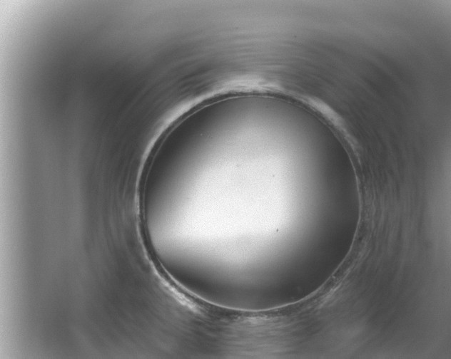 X0000067491335200604101245