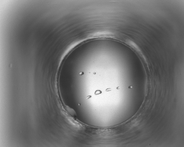 X0000067491336200604101245