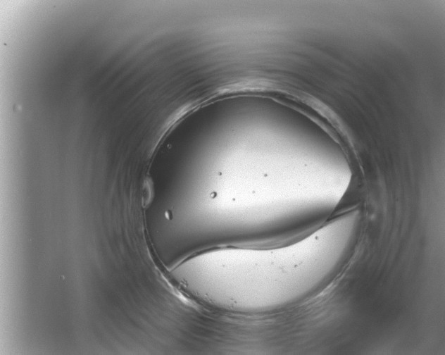 X0000067491337200604101245