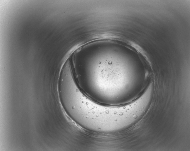 X0000067491338200604101245