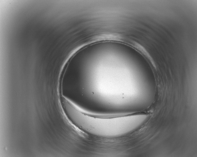 X0000067491339200604101245