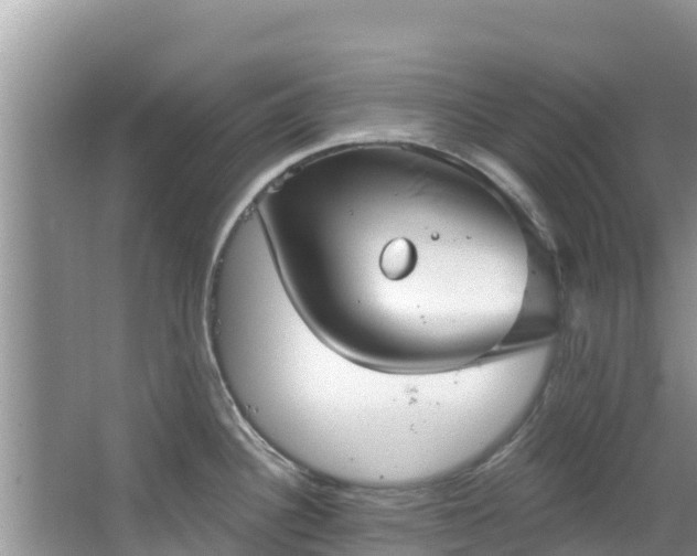 X0000067491340200604101245