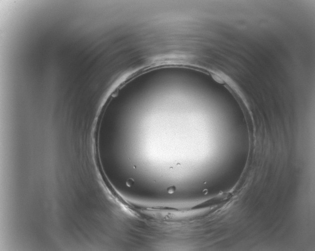 X0000067491341200604101245