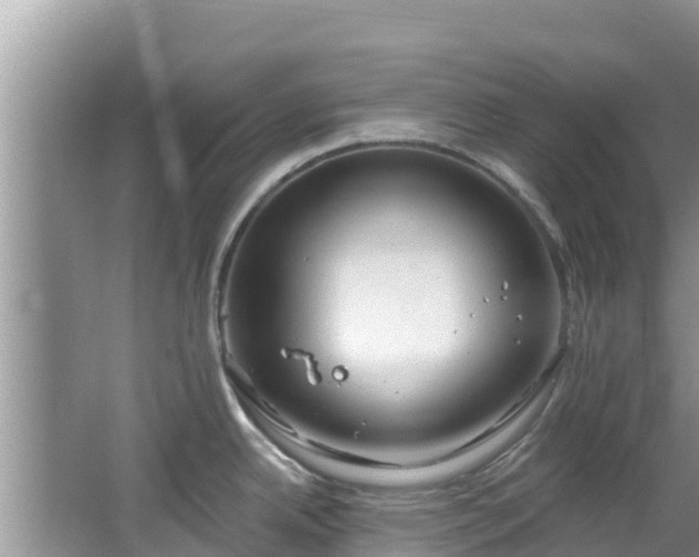 X0000067491342200604101245