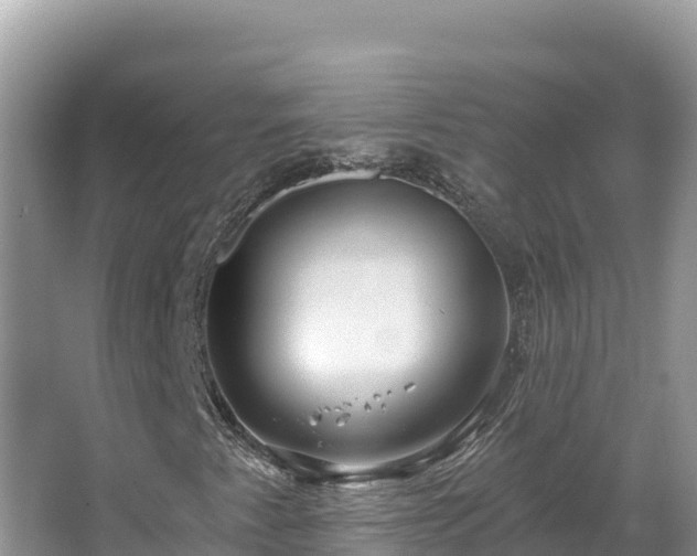 X0000067491345200604101244