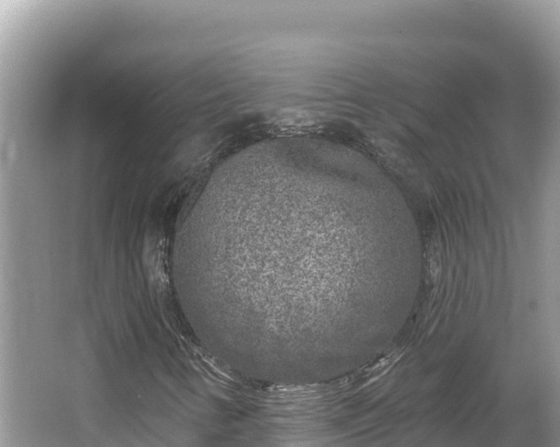 X0000067491346200604101244