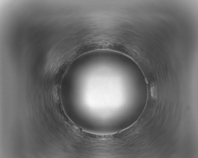 X0000067491347200604101244