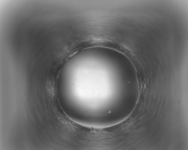 X0000067491348200604101244