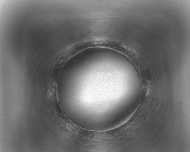 X0000067491349200604101244