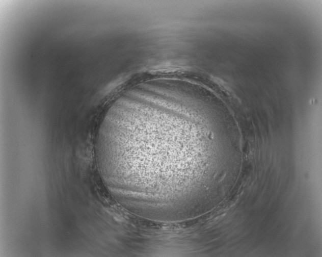 X0000067491350200604101244