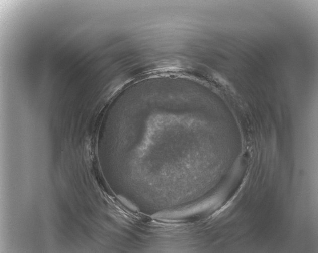 X0000067491353200604101244