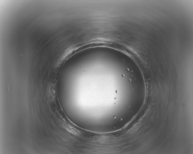 X0000067491355200604101244