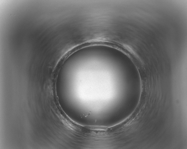 X0000067491356200604101244