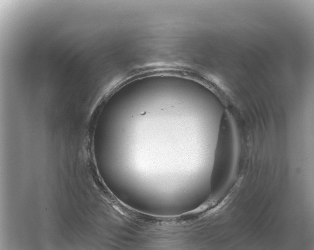 X0000067491357200604101244