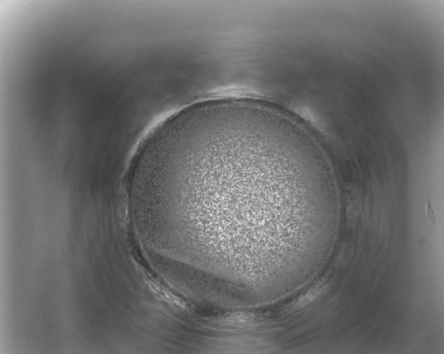 X0000067491358200604101244