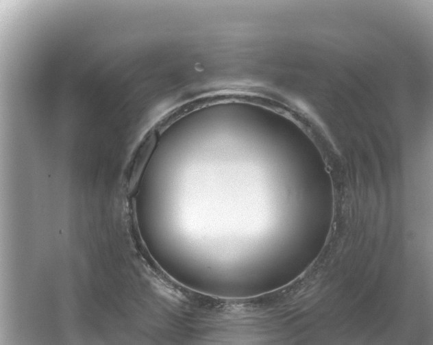 X0000067491360200604101244